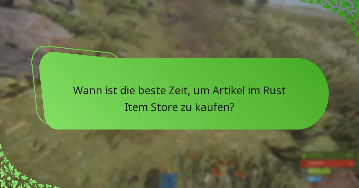 Welche Werbeaktionen finden im Rust Item Store statt?