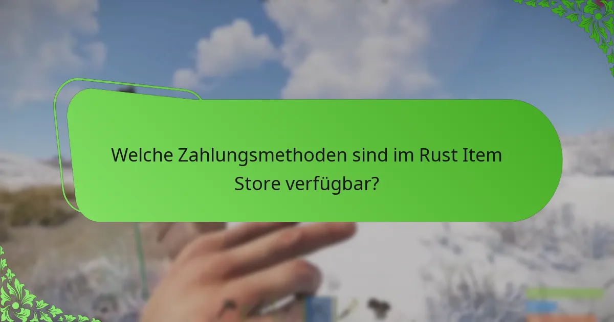 Welche Zahlungsmethoden sind im Rust Item Store verfügbar?