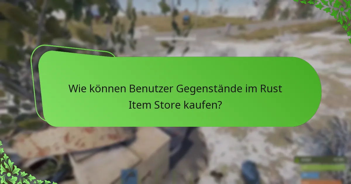 Wie können Benutzer Gegenstände im Rust Item Store kaufen?